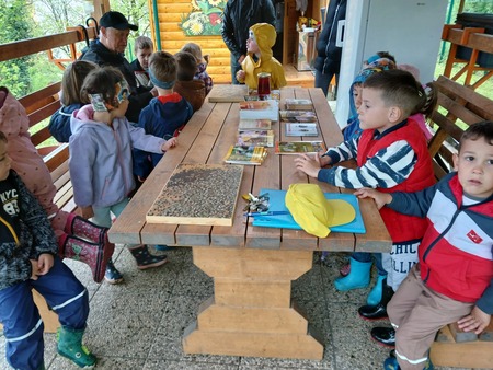 Obisk čebelnjaka (7)